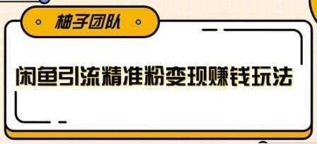 闲鱼引流精准粉变现赚钱玩法，每天可以引流精准粉100+比特币最新行情-加密货币前景-比特币ETF-以太坊ETF-以太坊行情分析-区块链项目投研-sol-ton链币董会学院