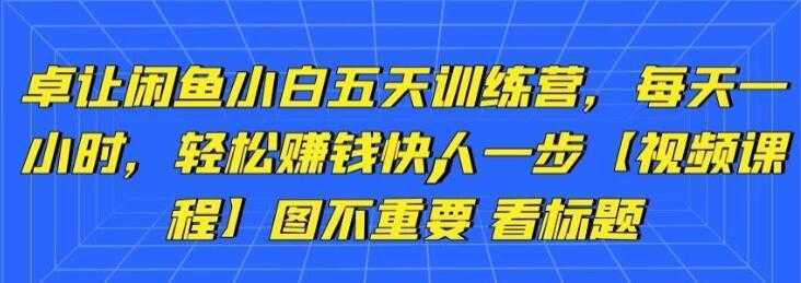 卓让《闲鱼项目小白五天训练营》每天一小时，轻松赚钱快人一步比特币最新行情-加密货币前景-比特币ETF-以太坊ETF-以太坊行情分析-区块链项目投研-sol-ton链币董会学院