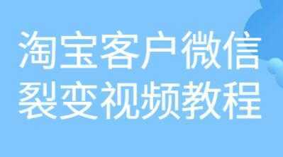 《淘宝客户微信裂变》培训课程视频教程比特币最新行情-加密货币前景-比特币ETF-以太坊ETF-以太坊行情分析-区块链项目投研-sol-ton链币董会学院