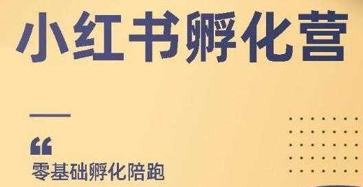 小红书撸金项目，教你如何快速起号获得曝光，做到月躺赚在3000+比特币最新行情-加密货币前景-比特币ETF-以太坊ETF-以太坊行情分析-区块链项目投研-sol-ton链币董会学院