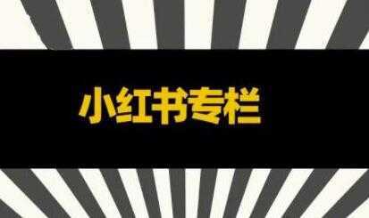 品牌医生《小红书全链营销干货》5个起盘案例，营销策略规划，避坑指南比特币最新行情-加密货币前景-比特币ETF-以太坊ETF-以太坊行情分析-区块链项目投研-sol-ton链币董会学院