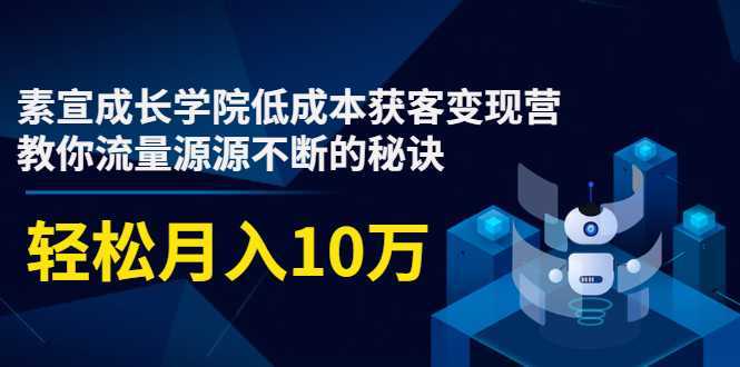 素宣成长学院低成本获客变现营，教你流量源源不断的秘诀，轻松月入10万比特币最新行情-加密货币前景-比特币ETF-以太坊ETF-以太坊行情分析-区块链项目投研-sol-ton链币董会学院