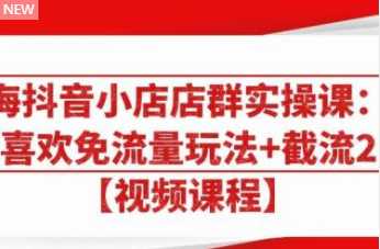 大海抖音小店店群实操课：猜你喜欢免流量玩法+截流 2.0比特币最新行情-加密货币前景-比特币ETF-以太坊ETF-以太坊行情分析-区块链项目投研-sol-ton链币董会学院